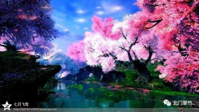 结婚多年同居不同寝，丈夫去世，她守寡38年，102岁说出婚姻实情