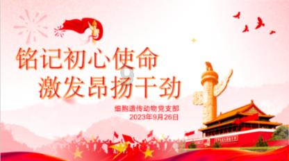 咖啡厅找不同