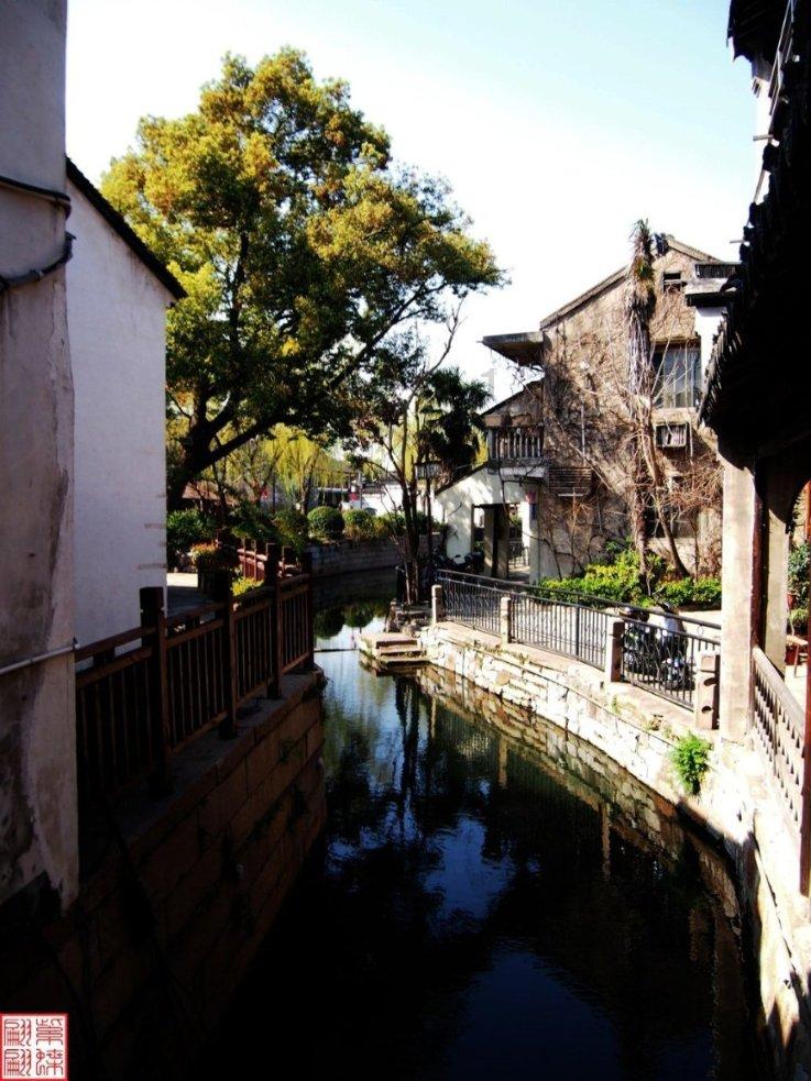 71名“小东北虎”来晋感受地道年味